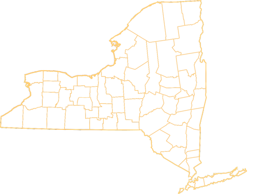 NY Counties map